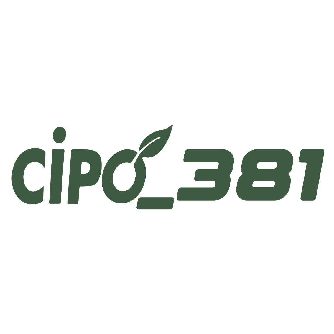 CIPO 381
